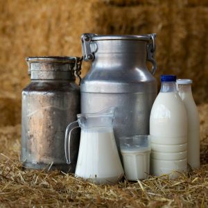 Swine on Small Acreage: Comfort, Feeding, and First Response