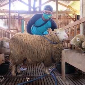 Small Animal Pharmacy at Home: Safe Setup & Vet Communication